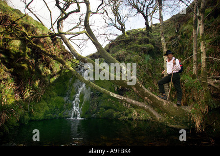 "Der schwarze Bauer" Wilfred Emmanuel-Jones auf Dartmoor bei Shavercombe Wasserfällen wandern Stockfoto