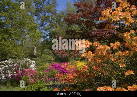 Hoveton Hall Gardens Norfolk UK Mai Stockfoto