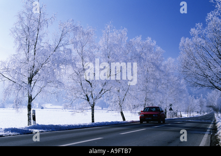 Birken auf einer Landstraße, bedeckt mit Whitefrost, Auto nähert, Deutschland, Bayern. Stockfoto