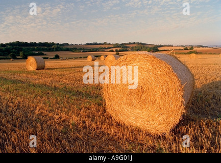 Rundballen Stroh bei Sonnenuntergang Westerham Kent England UK Stockfoto