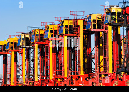 Schifffahrt / Container Straddle Carrier aufgereiht auf den Docks. Hafen von Melbourne Australien. Stockfoto