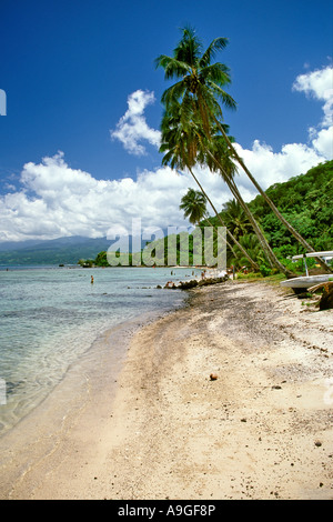 Ein Strand auf der Insel Tahiti in der Gruppe der Gesellschaftsinseln in Französisch-Polynesien. Stockfoto
