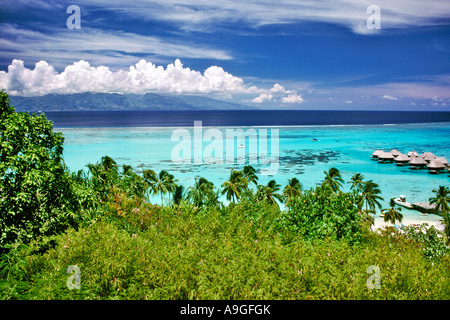 Überwasser-Bungalows des Sofitel La Ora Hotels an der Küste in der Nähe von Tahiti in Französisch-Polynesien Moorea. Stockfoto