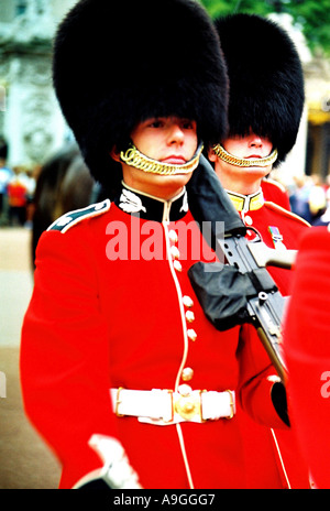 Königliche Garde am Buckingham Palace, militärische parade Militaer, Parade, Waffen, Gewehr Stockfoto