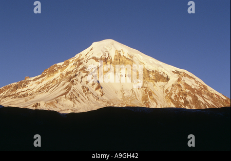 Vulkan Sajama, 21463 ft., höchsten Berg Boliviens im Abendlicht, Bolivien, Altiplano. Stockfoto