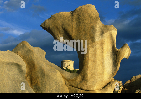 Genueser Turm von Campomoro, erbaut 1583, Frankreich, Korsika, Propriano. Stockfoto