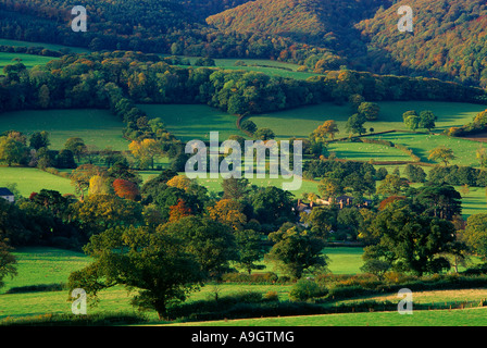 Herbstfarben in den rollenden englische Landschaft nr Selworthy Exmoor Nationalpark Somerset England UK Stockfoto