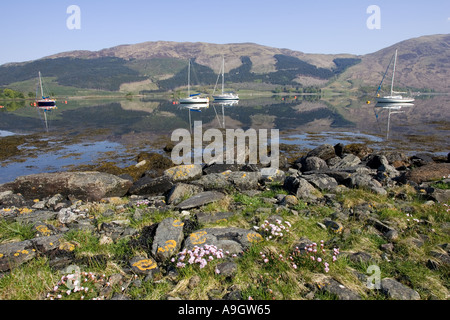 Festgemachten Jachten spiegelt sich in Loch am frühen Morgen Loch Leven Schottland Stockfoto