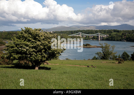 Menai Bridge, Anglesey, North Wales, UK, Europe, überqueren der Straße von Menaii Stockfoto