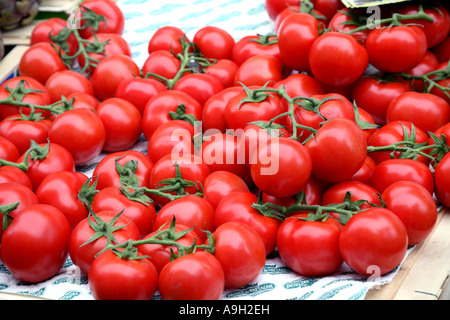 Tomaten in der französischen Straße Markt 2007 Stockfoto