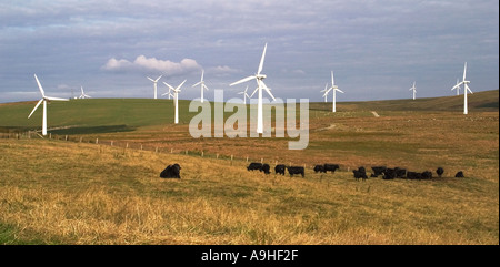 Windkraftanlagen Stromproduktion in Mid Wales, UK Bryn Titley Windpark mit Rinder und Schafe weiden auf Ackerland um Turbinen Stockfoto