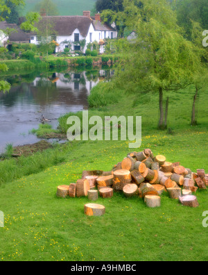 GB - DEVON: Fluss Exe im Ensemble Stockfoto