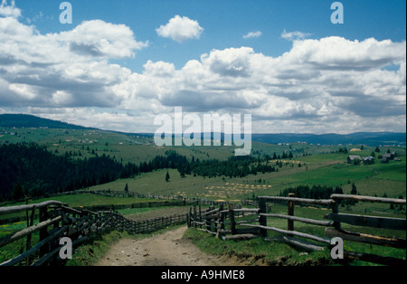 Feldweg in Rumänien Apuseni-Gebirge Stockfoto