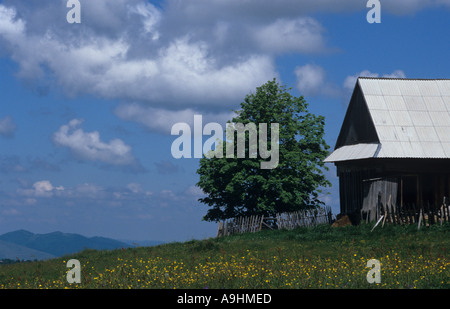 Blick von einer Wiese in den Höhen des Apuseni Berge Rumäniens Stockfoto