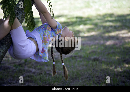 SOUTH CAROLINA YORK schönes junges Mädchen mit Zöpfen hängt kopfüber wie sie einen Baum Mimosa auf einem ländlichen Bauernhof klettert Stockfoto