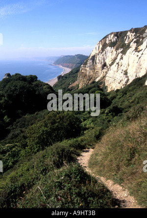 Südwestküste-Weg von Hooken Klippe in der Nähe von Bier Kopf in South Devon Stockfoto