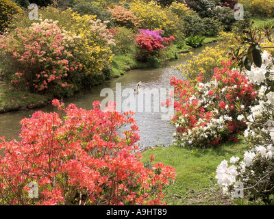 Leonardslee Seen und Gärten senken Beeding Nr Horsham West Sussex England Stockfoto