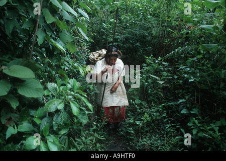 Mexiko, Chiapas, Naha, Selva Lacandona, Nordamerika. Stockfoto