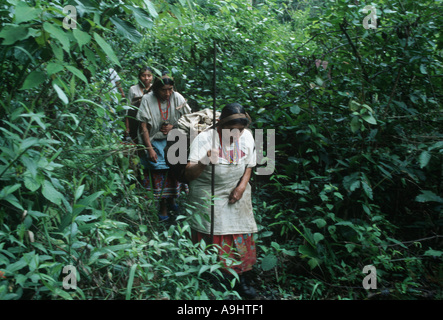 Mexiko, Chiapas, Naha, Selva Lacandona, Nordamerika. Stockfoto