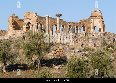 Basilika der antiken Römerstadt Volubilis, Marokko, Afrika Stockfoto