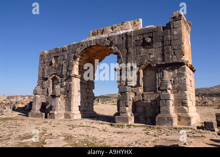 Der Triumphbogen des Caracalla in Volubilis, Marokko, Afrika Stockfoto