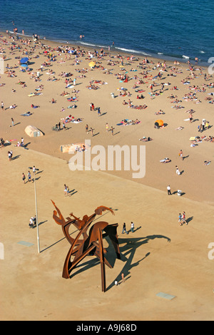 ESP Spanien Barcelona Barceloneta Vogelperspektive Strand Skulptur Stockfoto