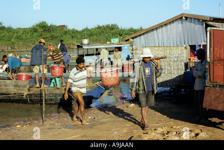 Zwei Fischer tragen schweren Korb mit Fisch auf Bambusstab, schwimmenden Dorf Chong Kneas, Tonle Sap, Siem Reap, Kambodscha Stockfoto
