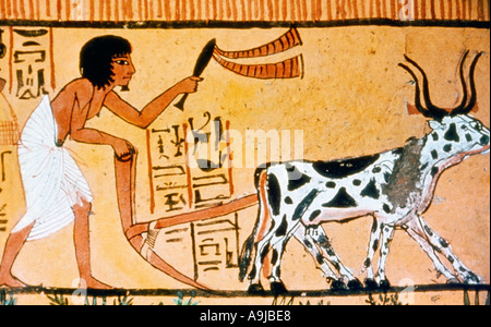 Luxor Egypt Deir El-medina Grabmal von Sennedjem (TT1) Gemälde von Sennediem (einem alten ägyptischen Handwerker) Pflügen Feld mit Ochsen im Jenseits Stockfoto