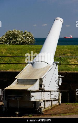 Alte Kanone Stockfoto