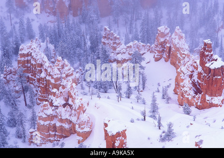 Felsformationen im Nebel unter Bryce Point nach einem Winter Sturm Bryce-Canyon-Nationalpark, Utah Stockfoto