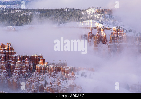 Felsformationen im Nebel unter Sunrise Point nach einem Winter Sturm Bryce-Canyon-Nationalpark, Utah Stockfoto