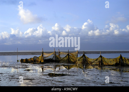 Fischernetze in das Meer, Niederlande, Texel Stockfoto