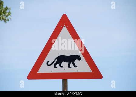 Vorsicht Leoparden! Stockfoto