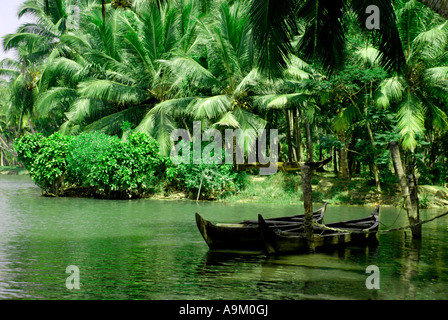 Landschaft des Bakwater im Vellayani See kerala Stockfoto