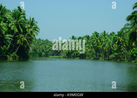 Landschaft des Bakwater im Vellayani kerala Stockfoto