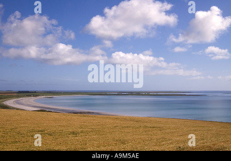 dh Backaskaill Bay SANDAY ORKNEY Feld der Gerstenbucht blauer Himmel Ernte weiße Wolken Schottland Isolation ruhige Küste britische Insel schottische Küste Stockfoto