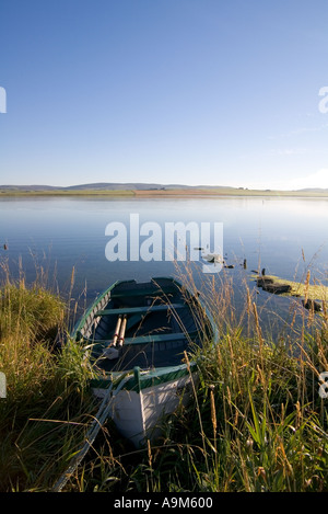 dh Loch Harray STENNESS ORKNEY Angeln Boot Strand auf grasbewachsenen Ufer Stockfoto