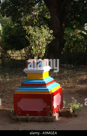 ANG99444 Tulsi Vrindavan Religion hinduistischen Zivilisation Tulsi Heilpflanze Madel Goa Indien Stockfoto