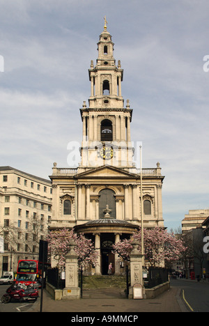 Der Strang London Kirchturm und Westfassade der St Mary Le Strang Magnolie Baum Blüte Amtskirche von der Frauen Royal Naval Service England UK Stockfoto