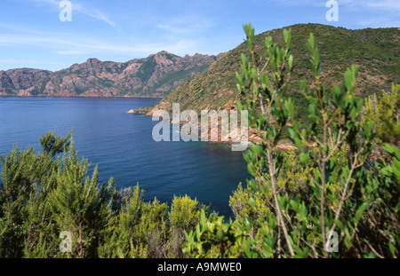 Girolata Trek - Corsica Frankreich Stockfoto