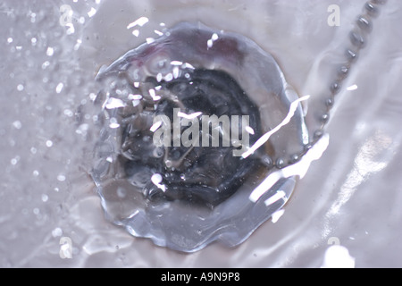 Wasser im Bad mit Stopfen und Kette Bad Abfluss Dübelloch Stockfoto