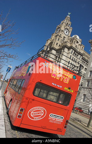 Wirral und Liverpool rote Stadt Tour-Bus in die Leber, die Gebäude in der Nähe von Albert dock, Liverpool Merseyside England UK GB EU Europa Stockfoto