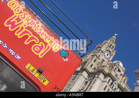 Wirral und Liverpool rote Stadt Tour-Bus in die Leber, die Gebäude in der Nähe von Albert dock, Liverpool Merseyside England UK GB EU Europa Stockfoto