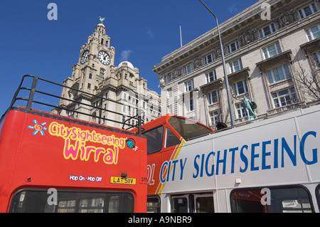 Wirral und Liverpool rote Stadt Tour-Bus in die Leber, die Gebäude in der Nähe von Albert dock, Liverpool Merseyside England UK GB EU Europa Stockfoto