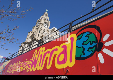 Wirral rote Stadt Tour-Bus in die Leber, die Gebäude in der Nähe von Albert dock, Liverpool Merseyside England UK GB EU Europa Stockfoto