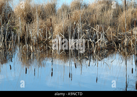 Wasser rauscht im Wasser am Wasser entlang. Stockfoto