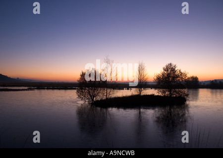 Landschaft der Sonnenuntergang über ruhig noch See mit Bäumen und kleinen Insel Silhouette Stockfoto