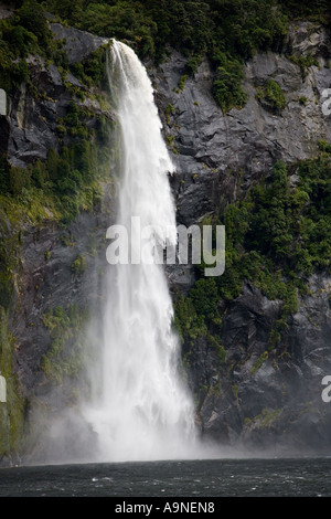 Wasserfall sprudelt her von üppigen buchen- und Farn bedeckten Hügel in Milford Sound im Fiordland Nationalpark in Neuseeland Stockfoto