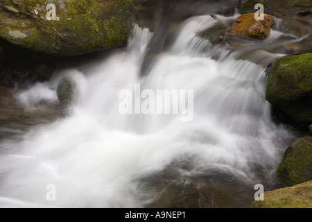 Gebirgsbach in den Smoky Mountains Stockfoto