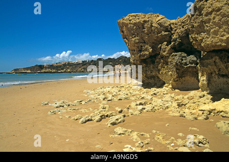 ALBUFEIRA ALGARVE PORTUGAL Europa kann Suche entlang der schönen goldenen Praia da Oura flankiert von Sandsteinfelsen geschliffen Stockfoto